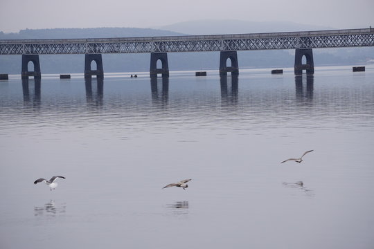 Firth-of-Tay-Br&uuml;cke