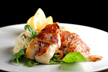 Fine dining, fish fillet breaded in herbs and spice on vegetable risotto.