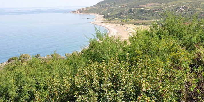 algerie littoral