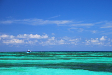 Fototapeta na wymiar Messico, Cancun, Contoy e Isla Mujeres