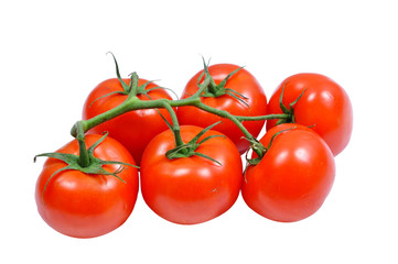 tomato