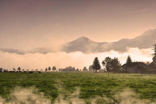 Fototapeta Bavarian landscape during a beautiful foggy morning