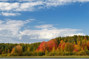 Landscape colorful autumn forest lake river sky clouds