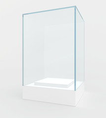 display case. 3d render. isolated on gray background