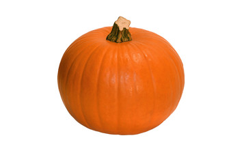 Baby Bear Pumpkin Kürbis isoliert auf weiß