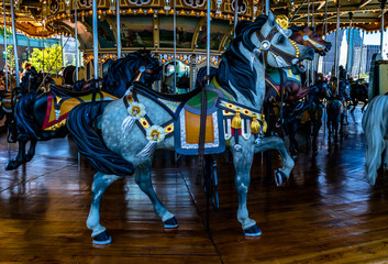 Horse Carousel NYC 5