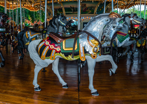 Horse Carousel NYC 6