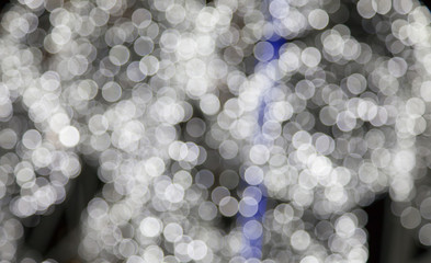 defocused ligths