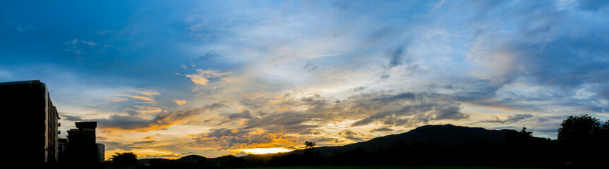 silhouette shot image of tree and sunset sky