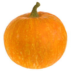 The pumpkin isolated on a white background