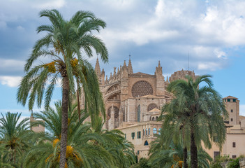 Fototapeta na wymiar Kathedrale La Seu, Palma de Mallorca