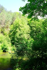 Board of River Vilnele near Entertainment Center Belmontas