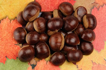 Colori d'Autunno