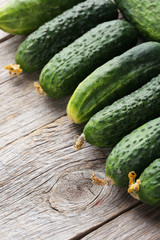 Fresh cucumbers on grey wooden background