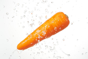 人参　シズル感