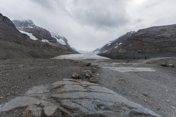Trail to the Glacier