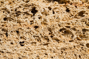 Natural material shell