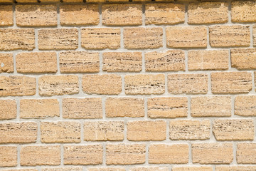 Natural material shell