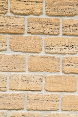 Natural material shell