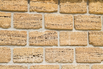 Natural material shell