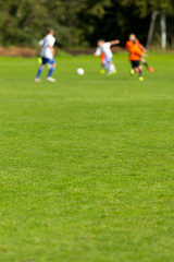Obraz na płótnie Canvas Blurred soccer players on green pitch