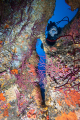 Scuba diver looking into underwater cave.