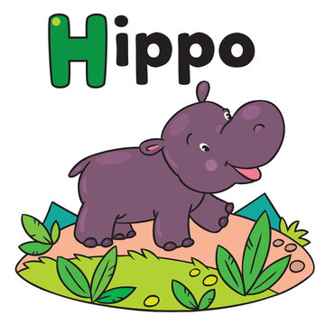 Little funny hippo, for ABC. Alphabet H