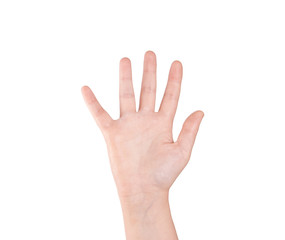 Woman hand showing the five fingers isolated on a white background