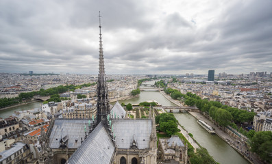 Fototapeta na wymiar Skyline of Paris from Notre Dame with Seine river