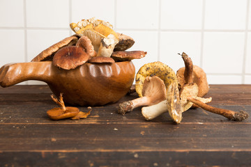 Selbergesammelte Pilze