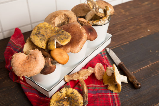 Selbergesammelte Pilze