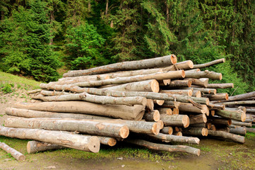 Stack of wooden logs near green forest
