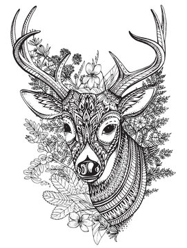 Hand drawn vector horned deer with  high details ornament