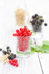 white red and black currant in the wine glasses
