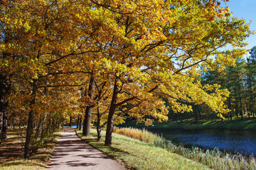 Autumn park with paths and river