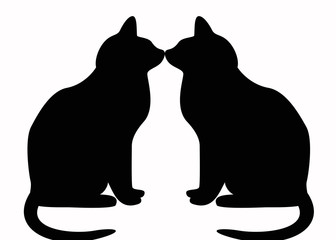 Gatos, fondo blanco, blanco y negro, mamífero, animal doméstico