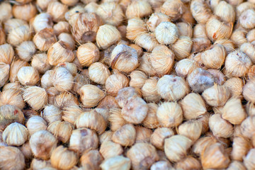Betel nut or Areca close up background