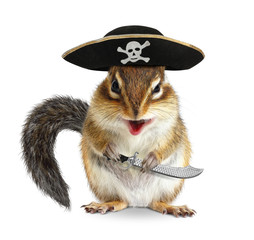 Funny animal pirate, chipmunk with filibuster hat and sabre