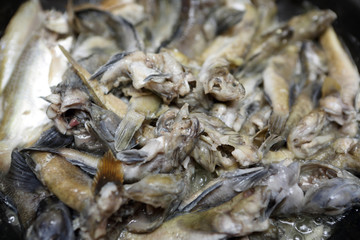 Cooking goby fish with sour cream
