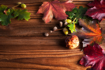 Abstract background of autumn leaves. Autumn background.