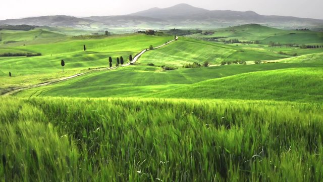 Beautiful view of Tuscany landscape painters and writers in Italy