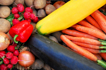 Verschieden Gemüsesorten