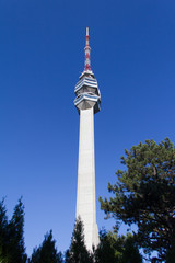 Obraz premium TV tower Avala Tower