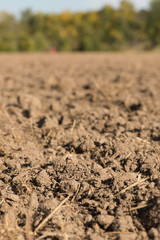 landwirtschaft - acker 