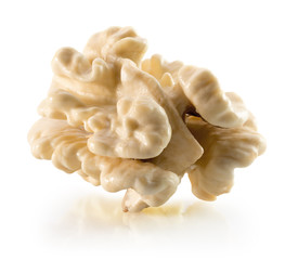 young walnut nucleus isolated on the white background