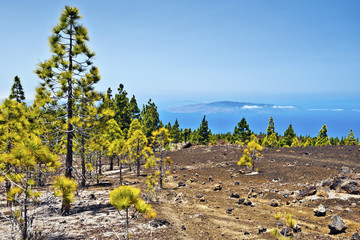 Western slopes of Teide national Park to the Ocean