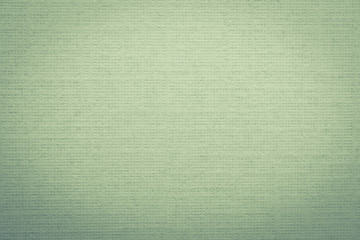 Green paper background with soft pattern