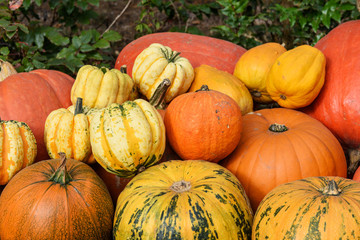Pumpkins