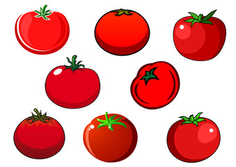 Fresh red isolated tomato vegetables