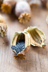 poppy seeds on wooden surface